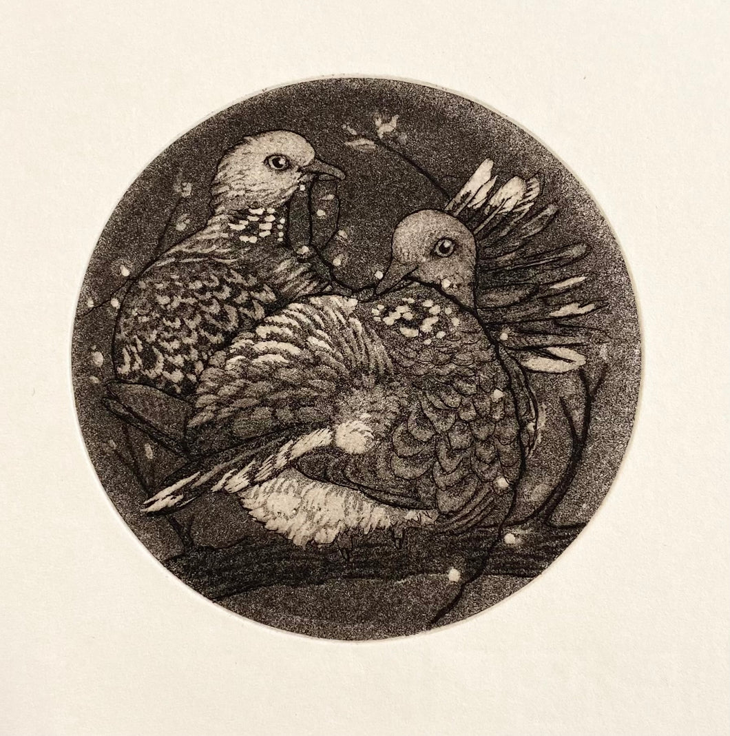Two Turtle Doves by Carrie Lingscheit