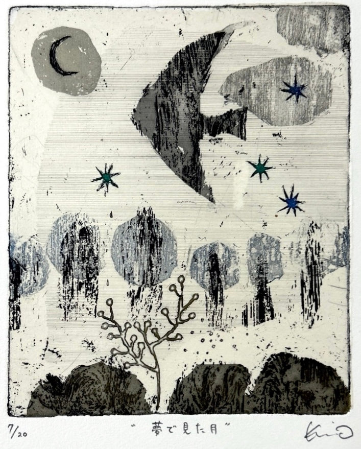 The Moon I Saw In My Dream by Kumi Obata