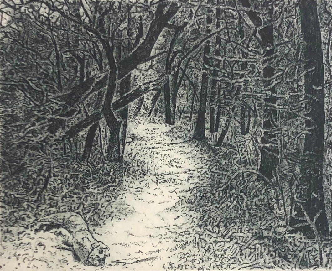 Winter Trail by Scott Kiefer