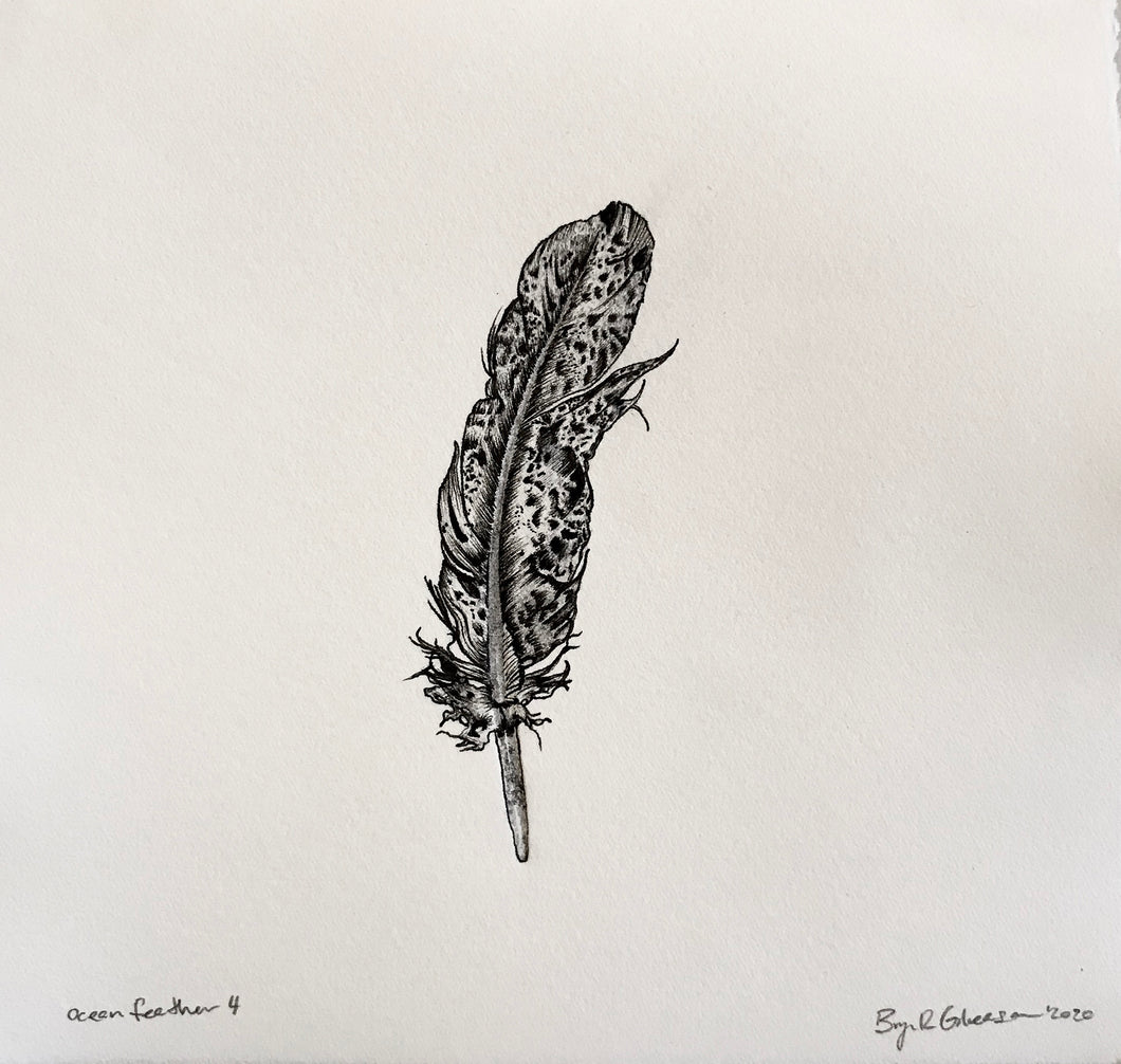 Ocean Feather by Bryn Gleason