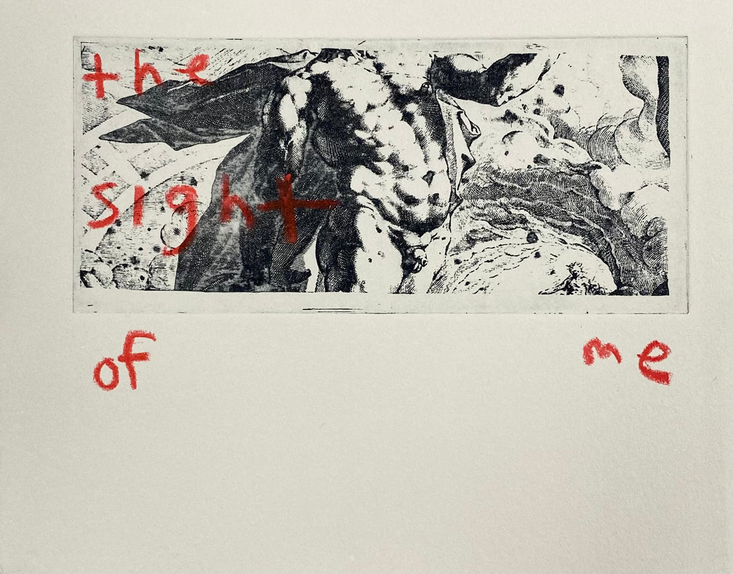 The Sight of Me -- Apollo Poems by Matt Bodett