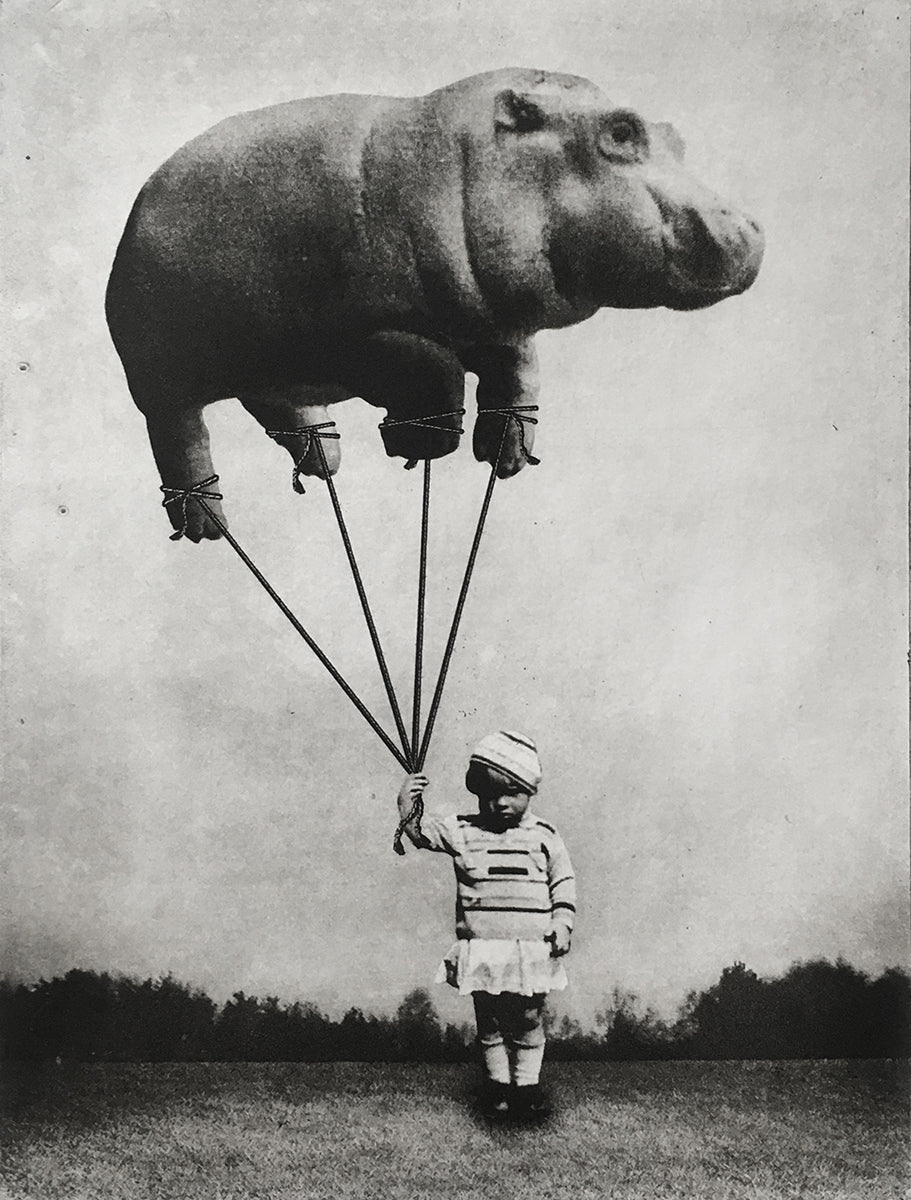 The Girl and the Balloon by Jaco Putker