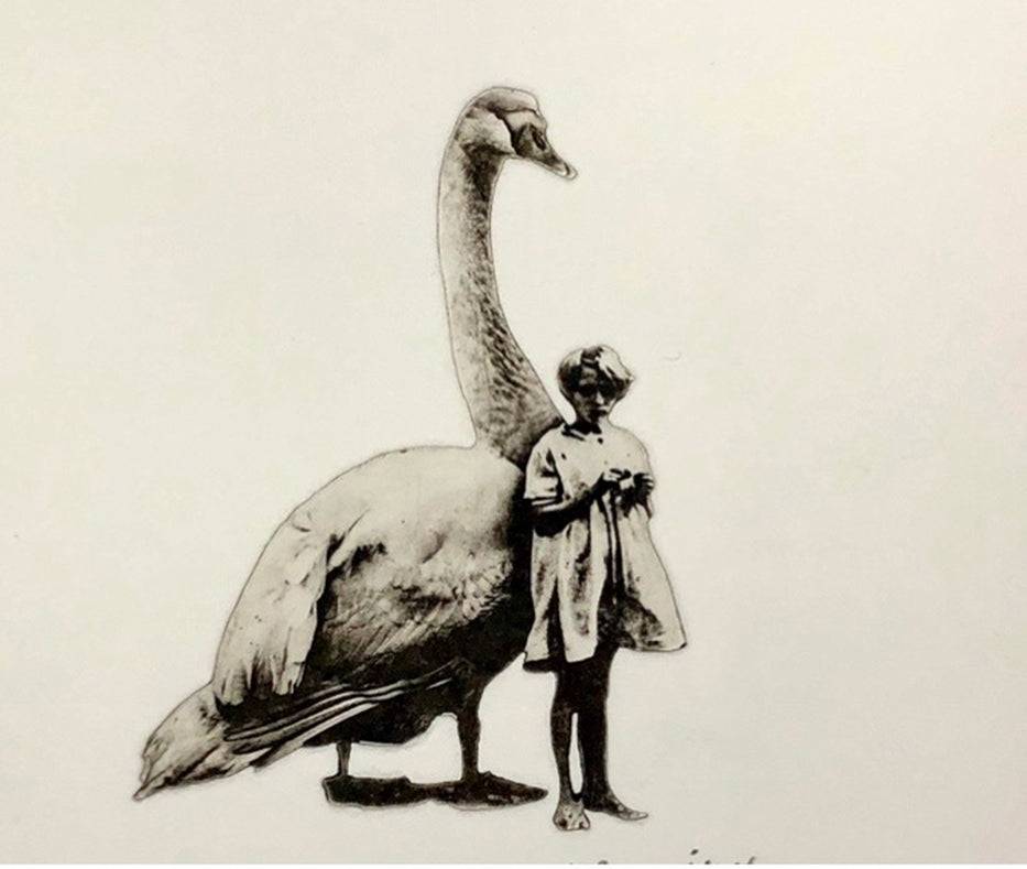 Girl and Swan No.3 by Jaco Putker