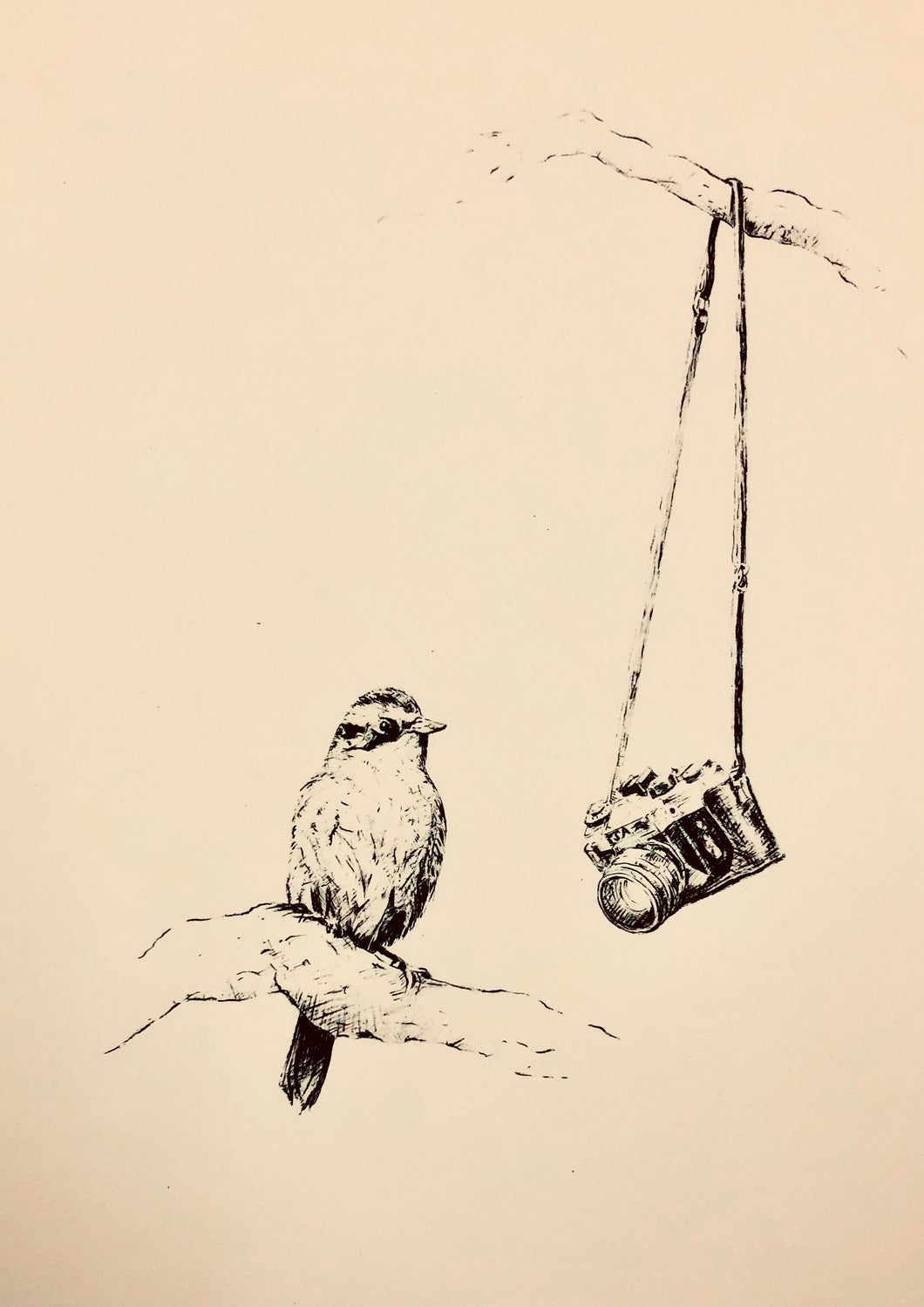 Steve's Ascent-or by Deborah Maris Lader